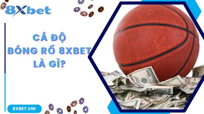 Kinh Nghiệm Chơi Cá Độ Bóng Rổ Bất Bại Theo Cao Thủ 1 Khám phá về hình thức cược thú vị, kinh nghiệm chơi cá độ bóng rổ